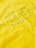 TOMMY HILFIGER - HILFIGER CURVE LOGO