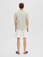 SELECTED - SLHASPEN SS O-NECK TEE NOOS